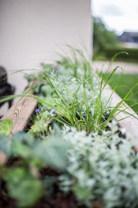 Le Naturospa Le Quesnoy-en-Artois